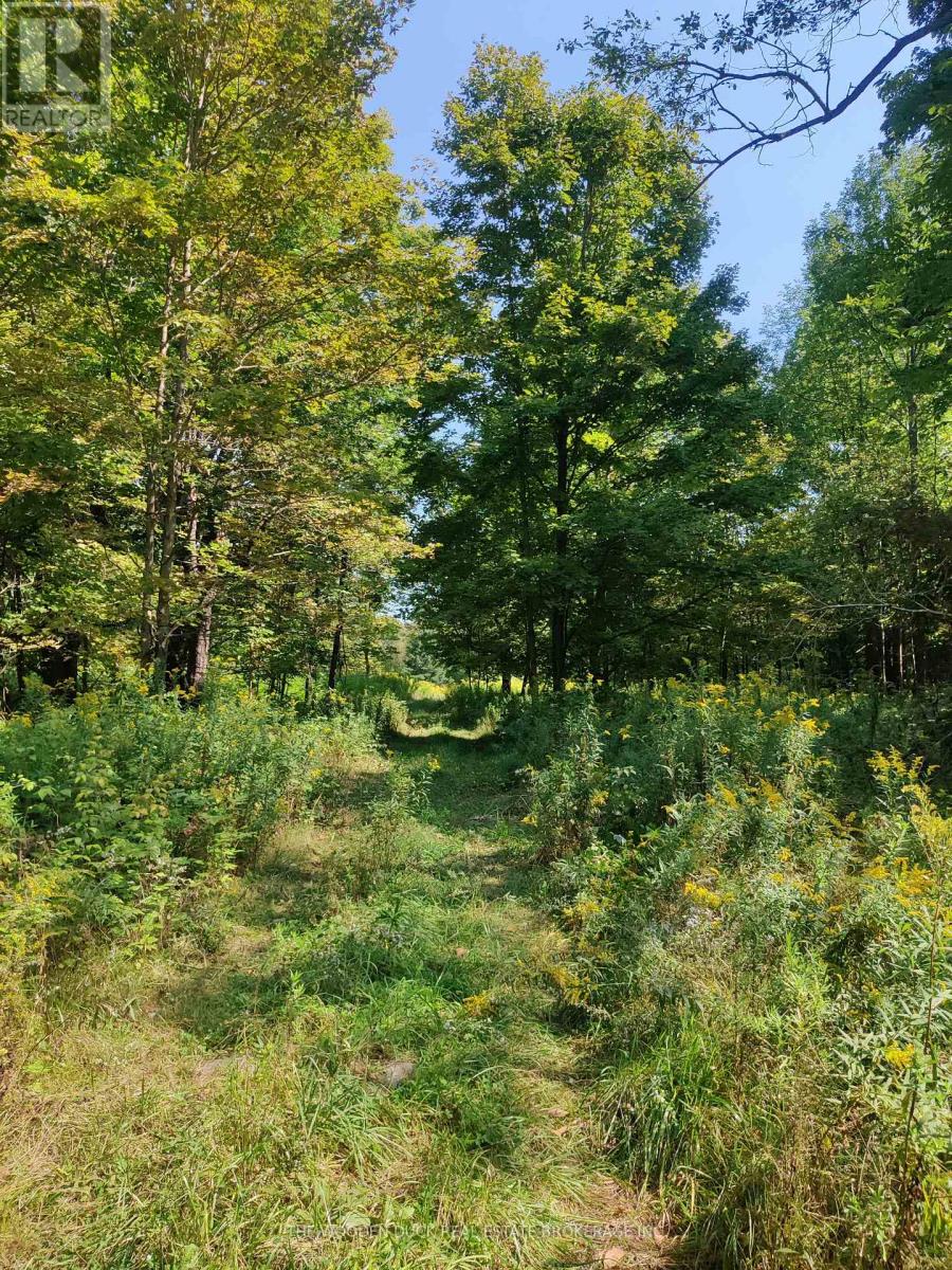 0east2 Road Allowance Road, Havelock-Belmont-Methuen (Belmont-Methuen), Ontario  K0L 1Z0 - Photo 5 - X12970720
