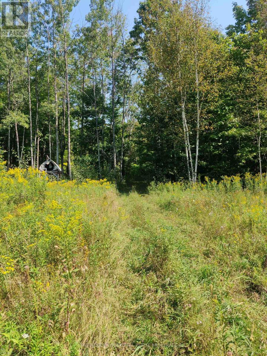 0east2 Road Allowance Road, Havelock-Belmont-Methuen (Belmont-Methuen), Ontario  K0L 1Z0 - Photo 6 - X12970720