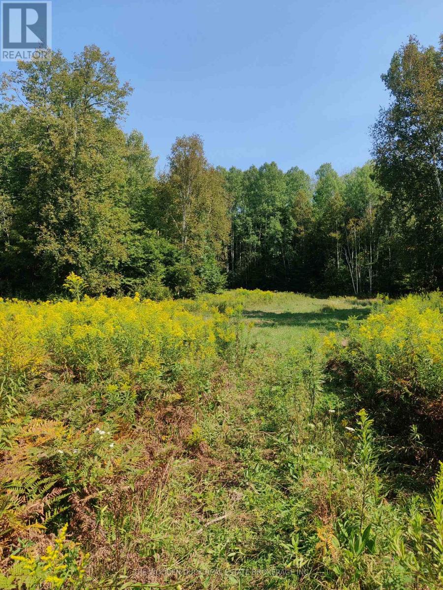 0east2 Road Allowance Road, Havelock-Belmont-Methuen (Belmont-Methuen), Ontario  K0L 1Z0 - Photo 7 - X12970720