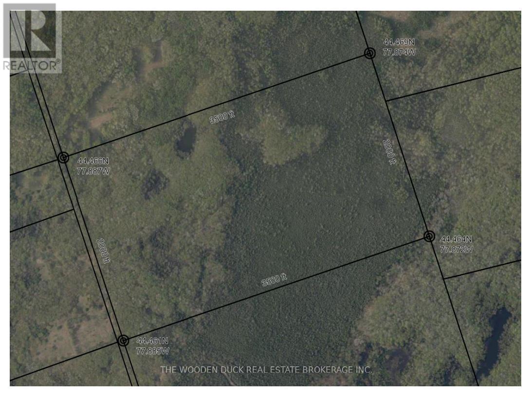 0east2 Road Allowance Road, Havelock-Belmont-Methuen (Belmont-Methuen), Ontario  K0L 1Z0 - Photo 9 - X12970720