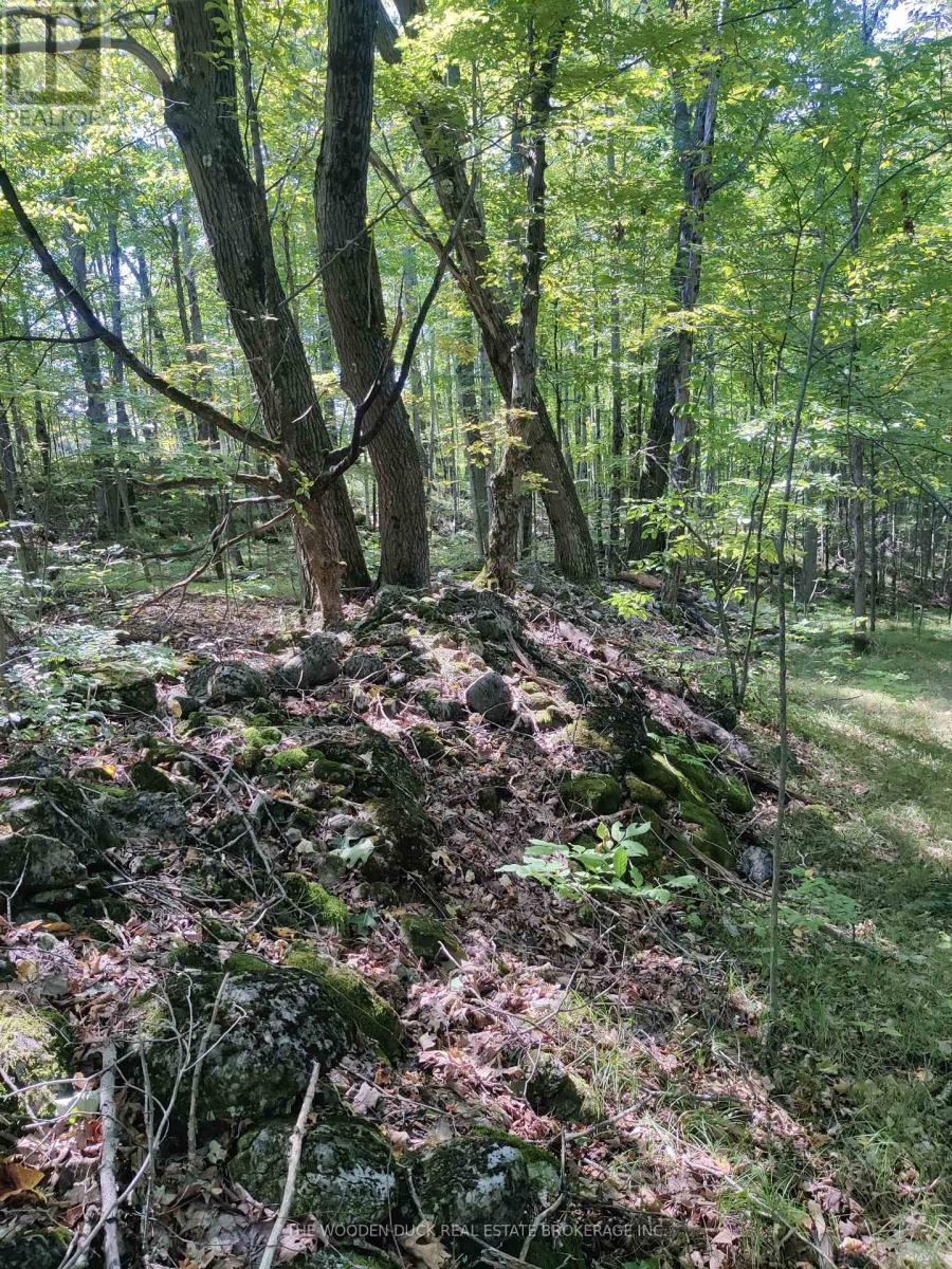 0WEST ROAD ALLOWANCE ROAD, havelock-belmont-methuen (belmont-methuen), Ontario