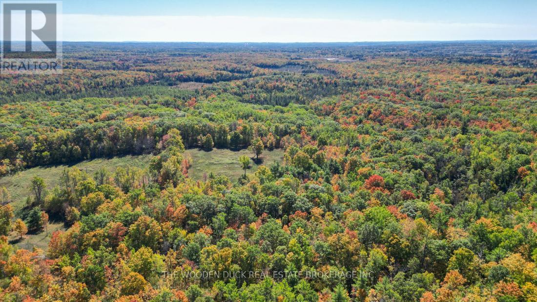 0west Road Allowance Road, Havelock-Belmont-Methuen (Belmont-Methuen), Ontario  K0L 1Z0 - Photo 15 - X12971736