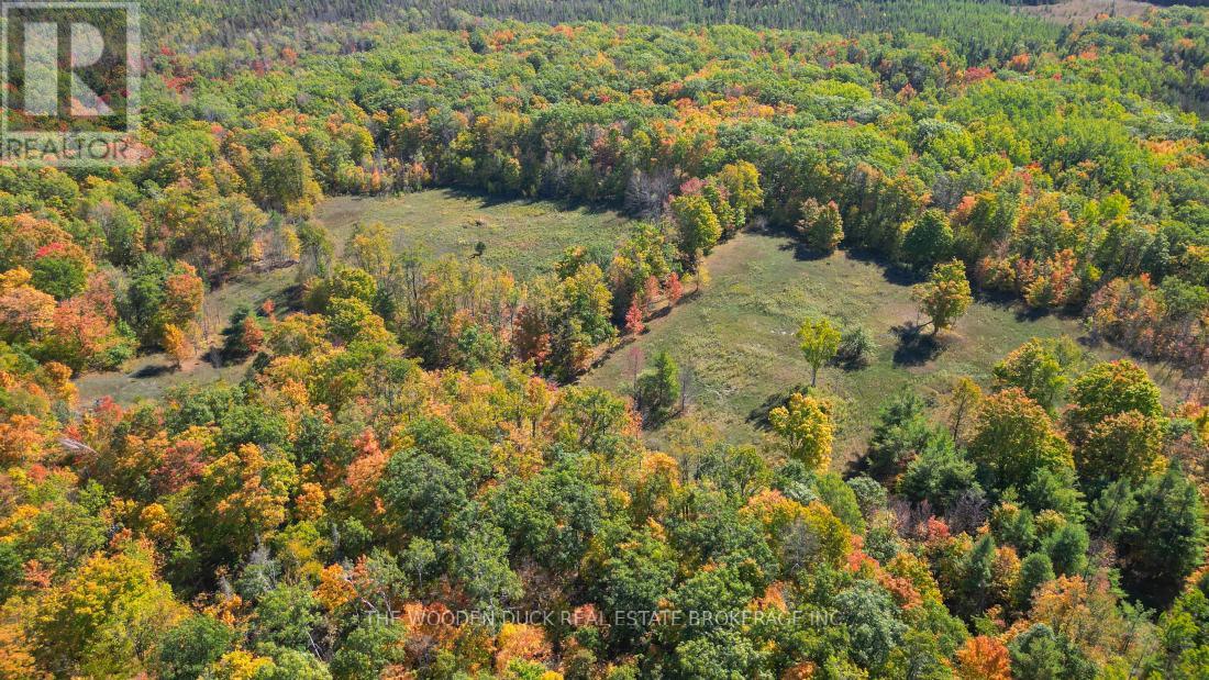 0west Road Allowance Road, Havelock-Belmont-Methuen (Belmont-Methuen), Ontario  K0L 1Z0 - Photo 16 - X12971736