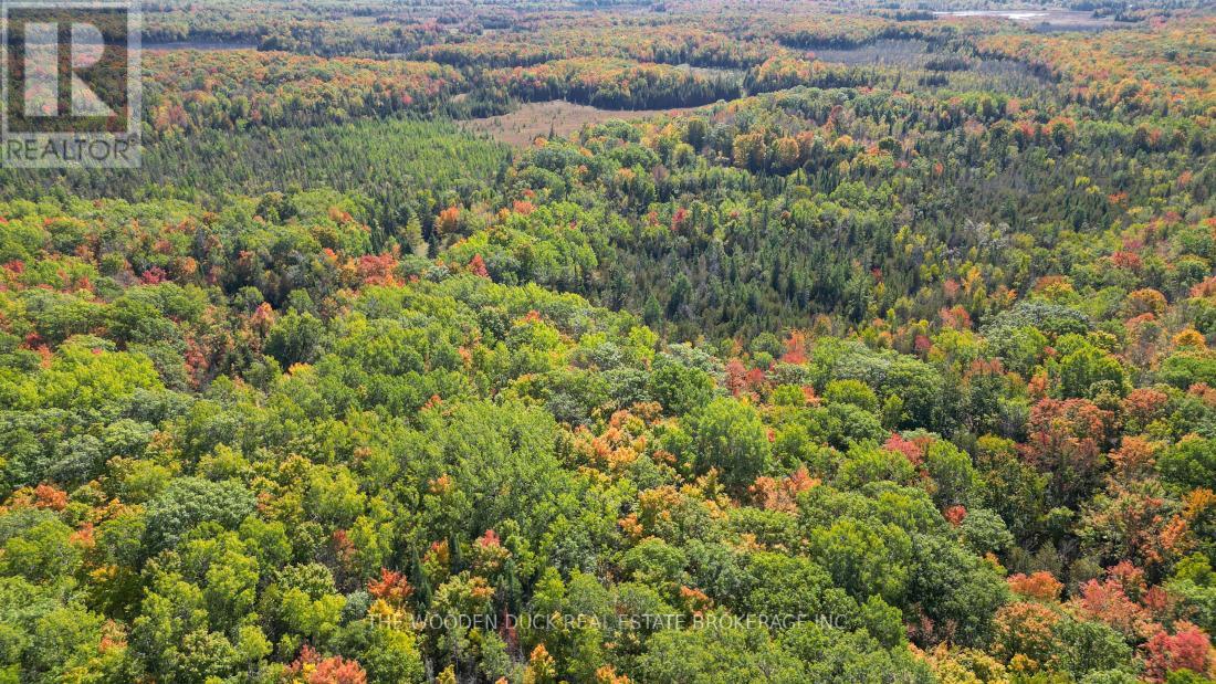0west Road Allowance Road, Havelock-Belmont-Methuen (Belmont-Methuen), Ontario  K0L 1Z0 - Photo 17 - X12971736