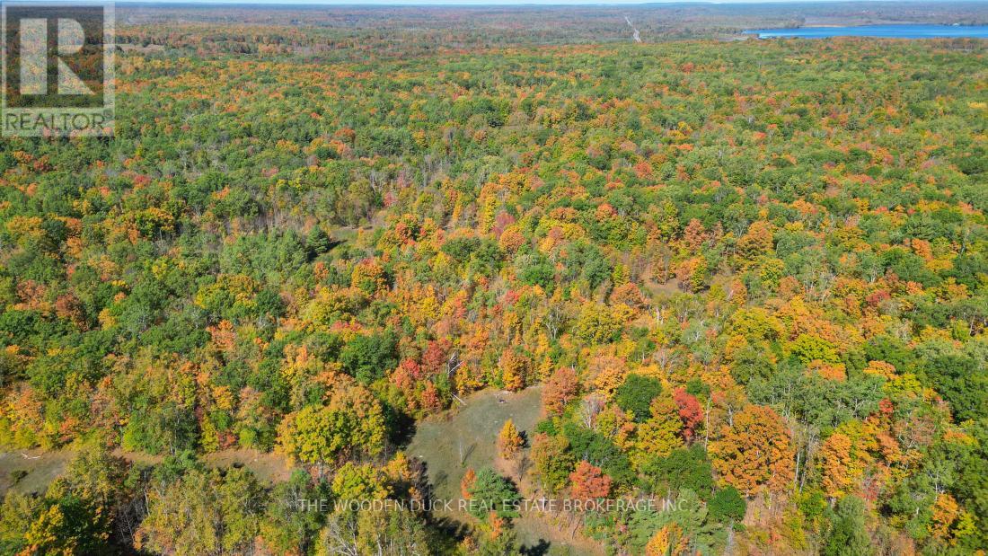 0west Road Allowance Road, Havelock-Belmont-Methuen (Belmont-Methuen), Ontario  K0L 1Z0 - Photo 19 - X12971736
