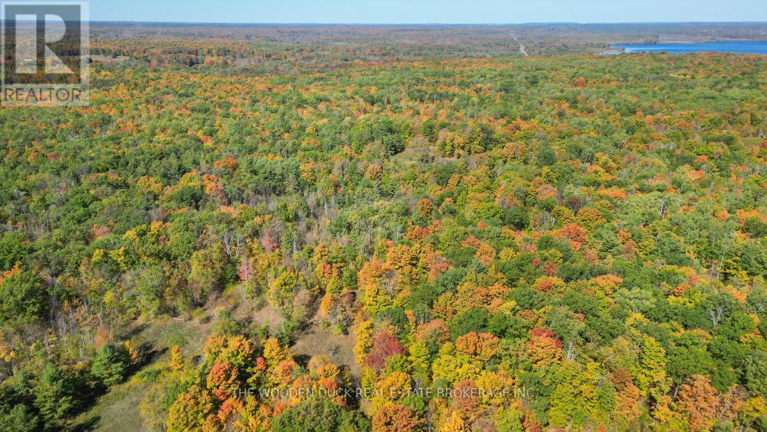 0west Road Allowance Road, Havelock-Belmont-Methuen (Belmont-Methuen), Ontario  K0L 1Z0 - Photo 20 - X12971736