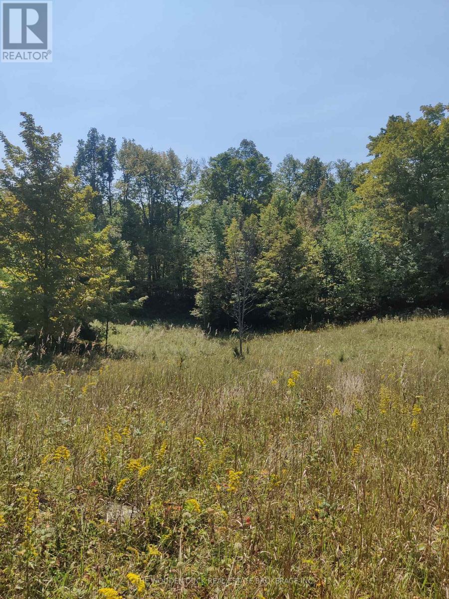 0west Road Allowance Road, Havelock-Belmont-Methuen (Belmont-Methuen), Ontario  K0L 1Z0 - Photo 3 - X12971736