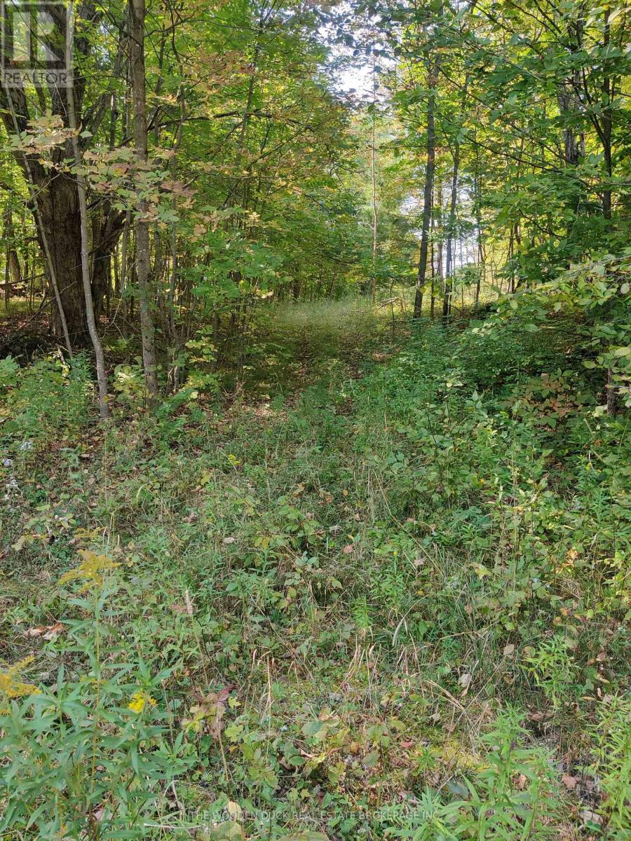 0west Road Allowance Road, Havelock-Belmont-Methuen (Belmont-Methuen), Ontario  K0L 1Z0 - Photo 4 - X12971736