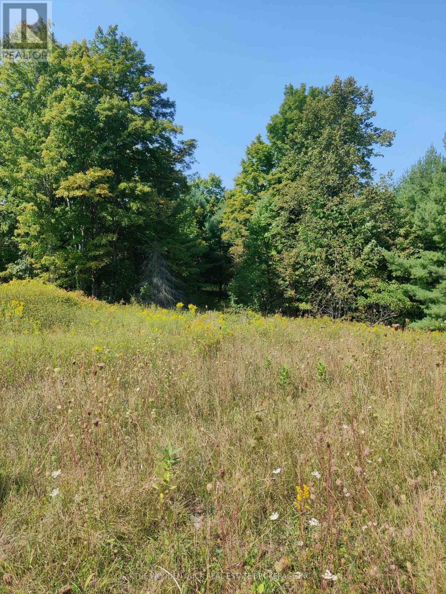 0west Road Allowance Road, Havelock-Belmont-Methuen (Belmont-Methuen), Ontario  K0L 1Z0 - Photo 6 - X12971736