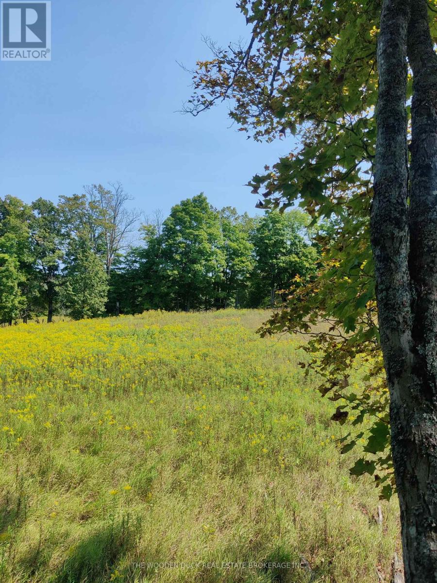 0west Road Allowance Road, Havelock-Belmont-Methuen (Belmont-Methuen), Ontario  K0L 1Z0 - Photo 7 - X12971736