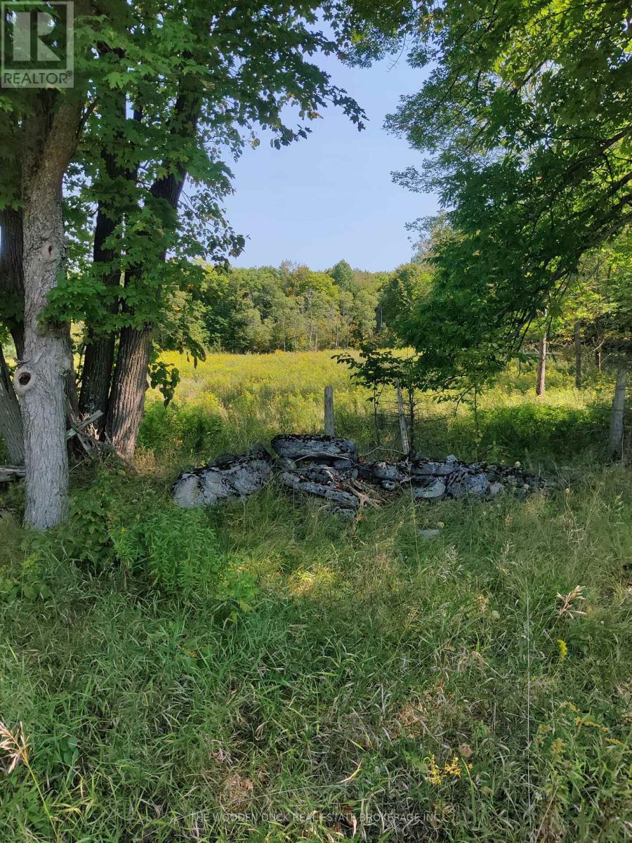 0west Road Allowance Road, Havelock-Belmont-Methuen (Belmont-Methuen), Ontario  K0L 1Z0 - Photo 8 - X12971736