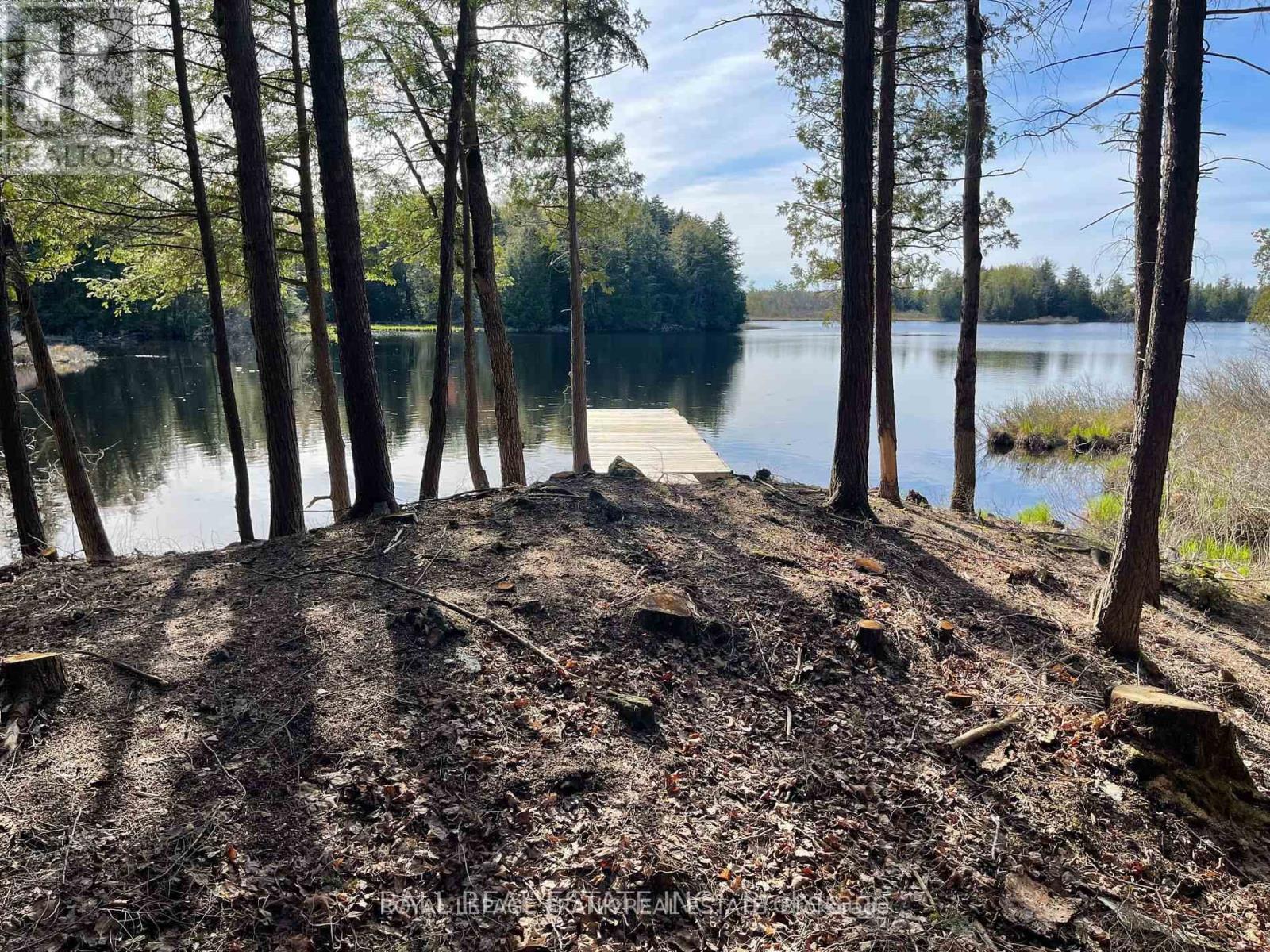 0 Part Lt 18-20 Con 13 Road, Tudor And Cashel (Tudor Ward), Ontario  K0L 1W0 - Photo 4 - X12972244