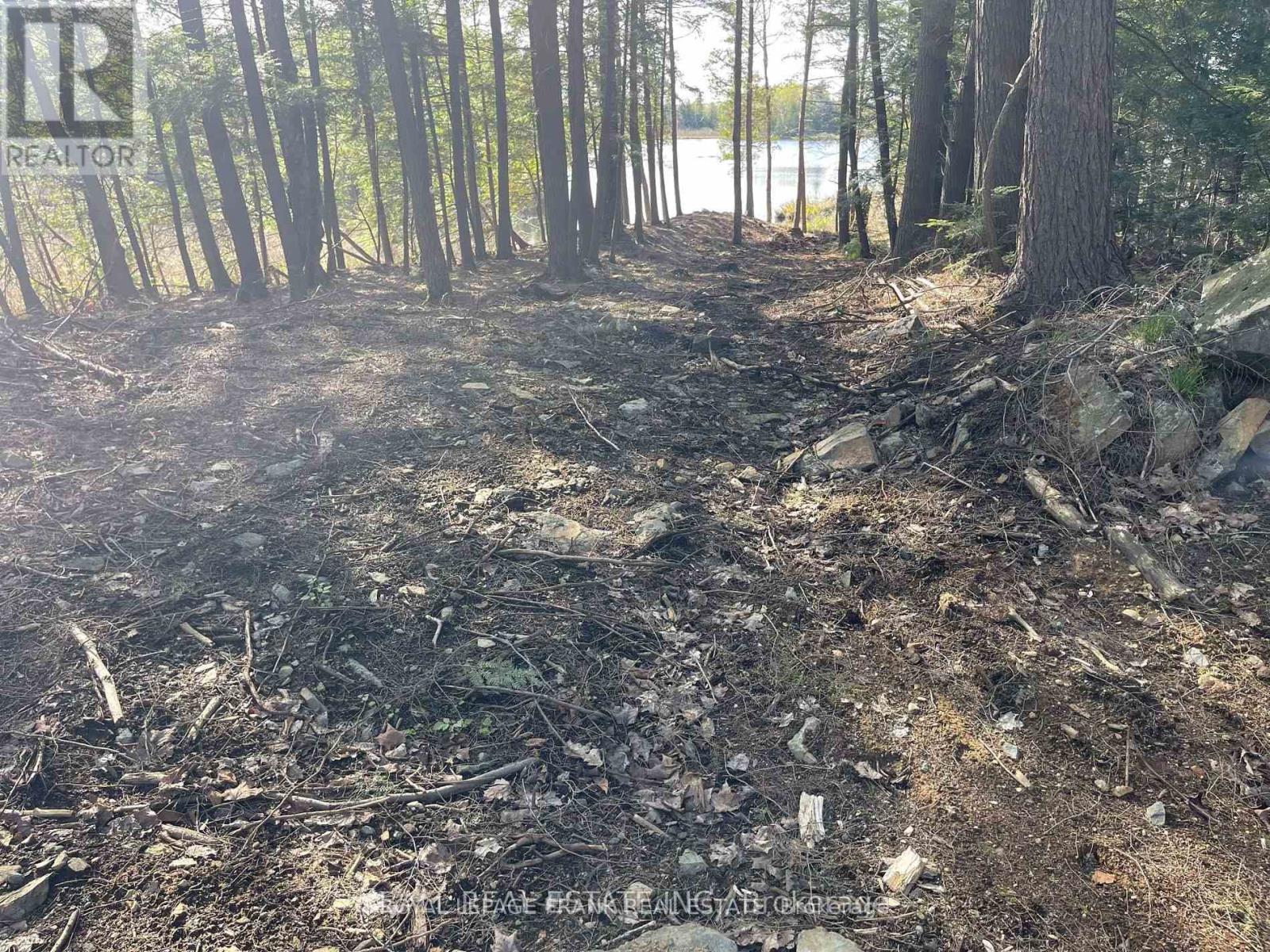 0 Part Lt 18-20 Con 13 Road, Tudor And Cashel (Tudor Ward), Ontario  K0L 1W0 - Photo 5 - X12972244