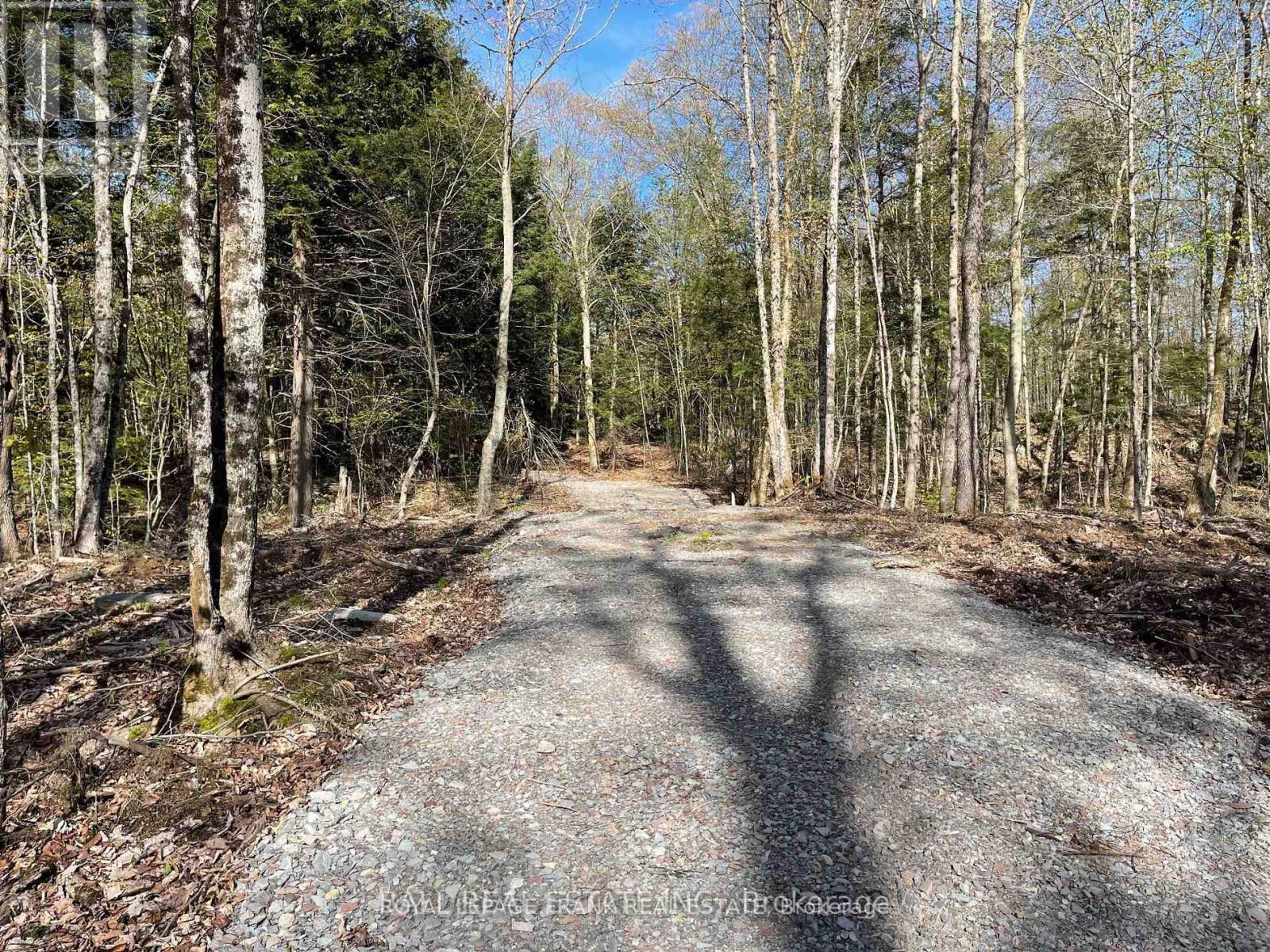 0 Part Lt 18-20 Con 13 Road, Tudor And Cashel (Tudor Ward), Ontario  K0L 1W0 - Photo 6 - X12972244