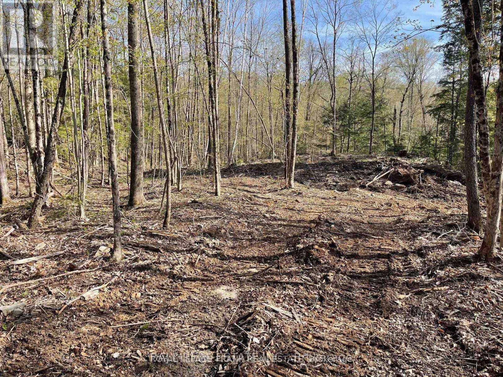 0 Part Lt 18-20 Con 13 Road, Tudor And Cashel (Tudor Ward), Ontario  K0L 1W0 - Photo 7 - X12972244