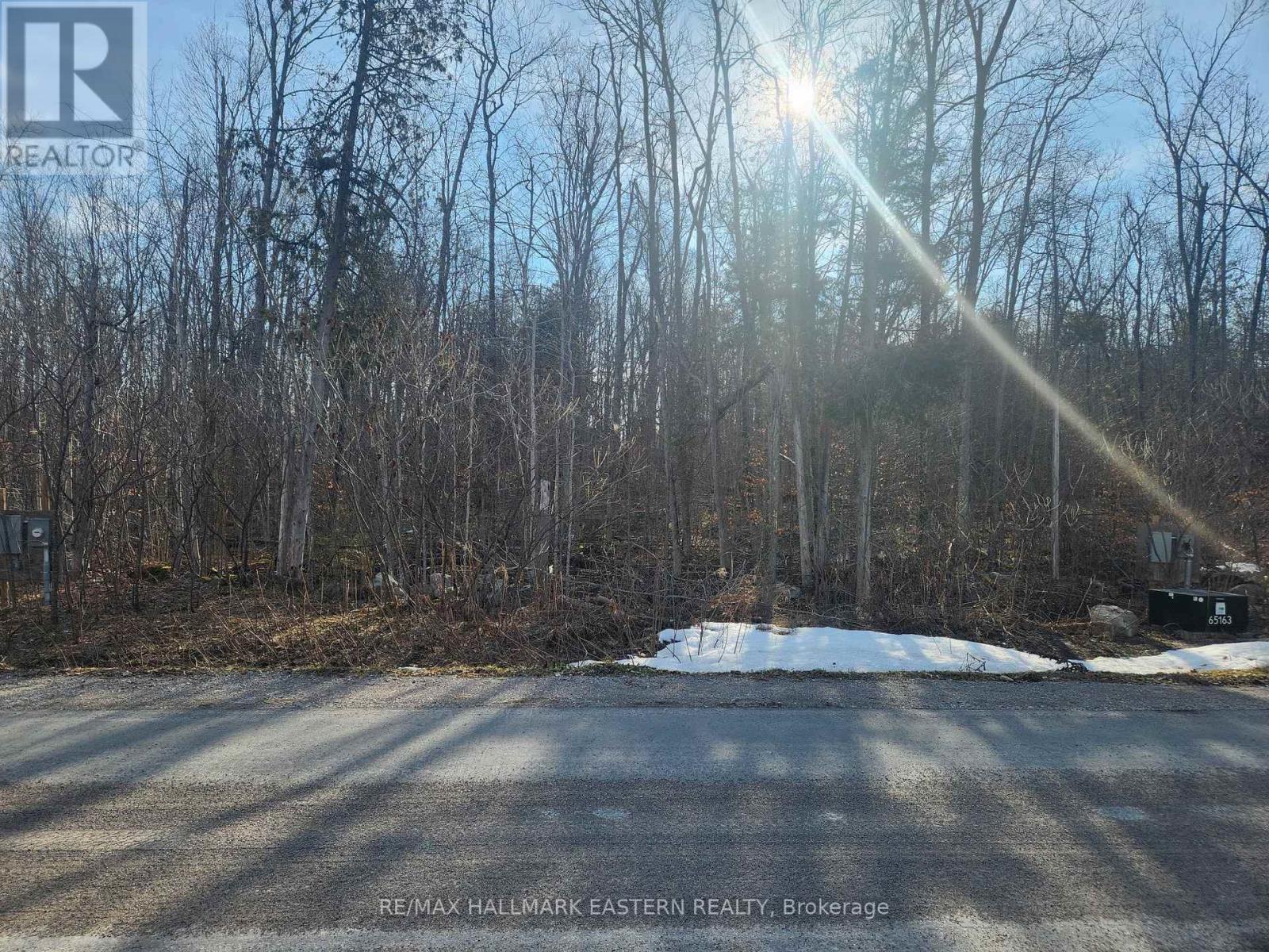 3037 Finley Road, Selwyn, Ontario  K0L 2H0 - Photo 4 - X12972392