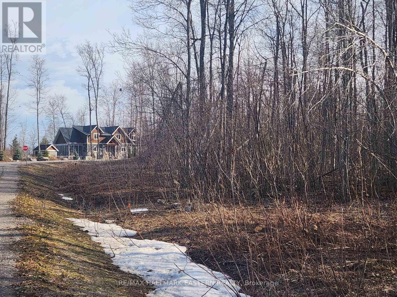3037 Finley Road, Selwyn, Ontario  K0L 2H0 - Photo 6 - X12972392
