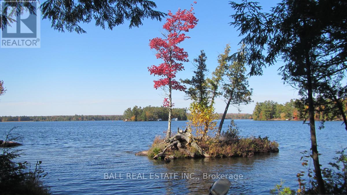 3174 + 3170 Spring Lane E, Selwyn, Ontario  K0L 2H0 - Photo 41 - X12975470