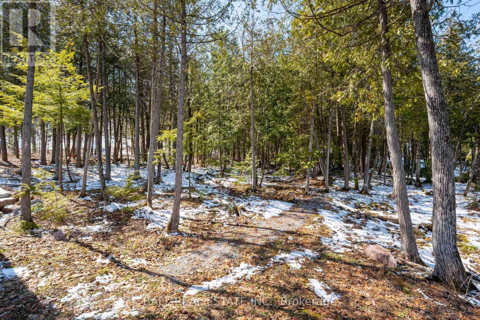3174 + 3170 Spring Lane E, Selwyn, Ontario  K0L 2H0 - Photo 49 - X12975470