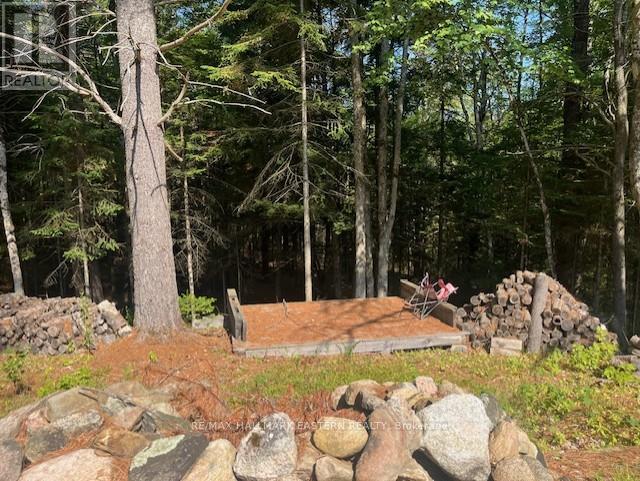 942 Balmer Road, North Kawartha, Ontario  K0L 1A0 - Photo 5 - X12975502