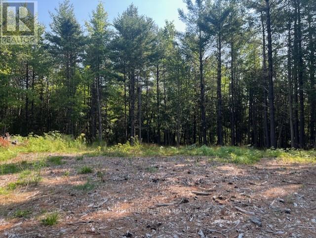 942 Balmer Road, North Kawartha, Ontario  K0L 1A0 - Photo 8 - X12975502