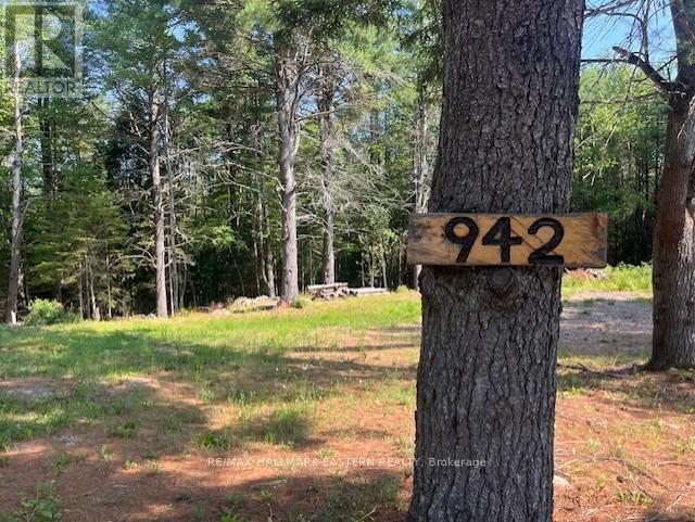 942 Balmer Road, North Kawartha, Ontario  K0L 1A0 - Photo 9 - X12975502