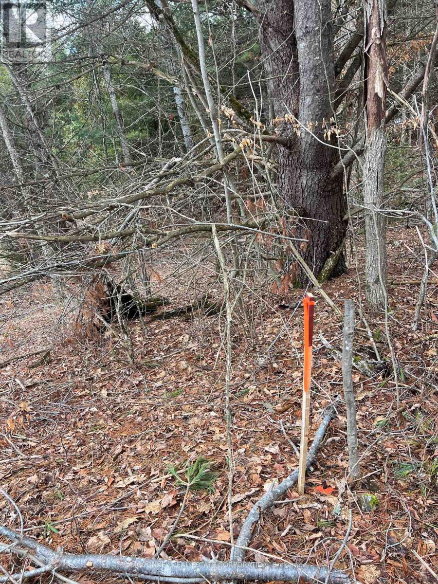 00 Centre Dummer Road, Douro-Dummer, Ontario  K0L 2H0 - Photo 10 - X12976854