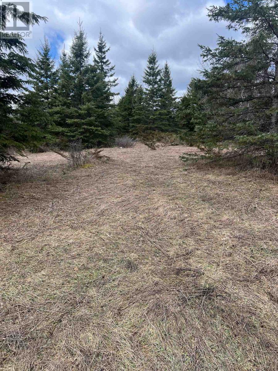 00 Centre Dummer Road, Douro-Dummer, Ontario  K0L 2H0 - Photo 11 - X12976854