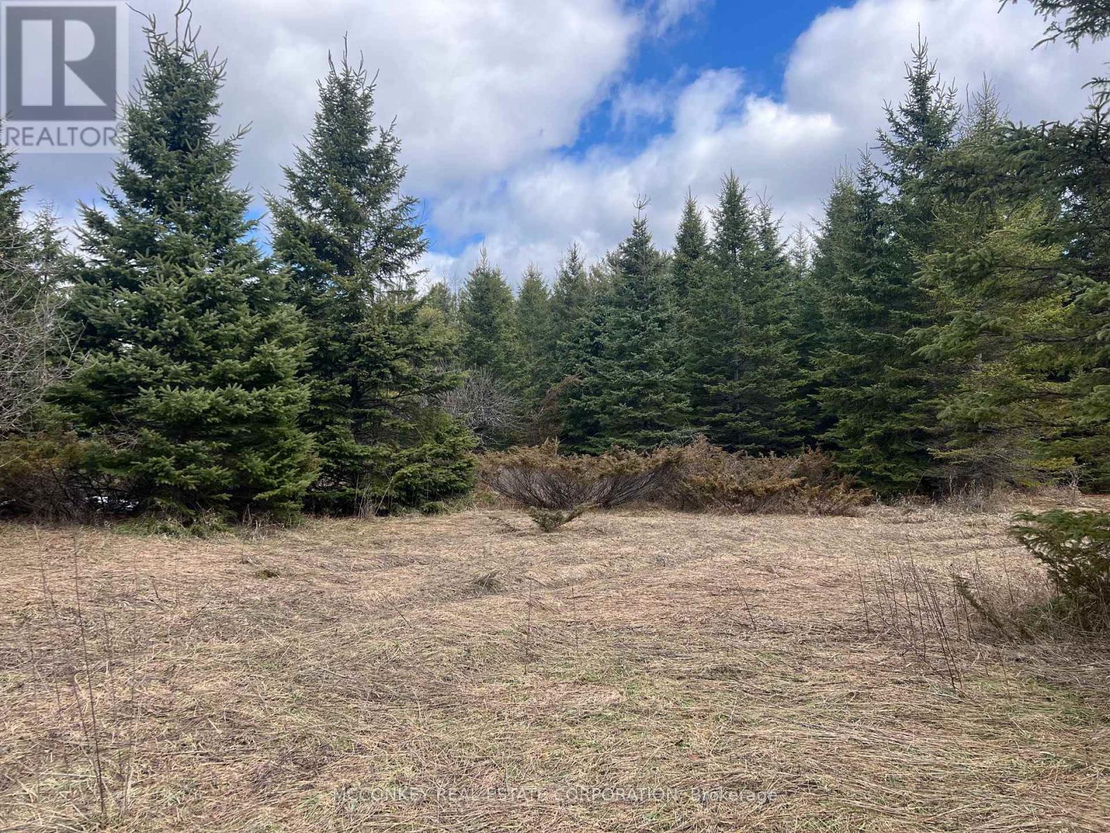 00 Centre Dummer Road, Douro-Dummer, Ontario  K0L 2H0 - Photo 12 - X12976854