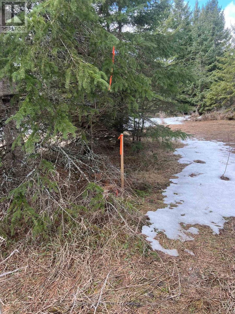 00 Centre Dummer Road, Douro-Dummer, Ontario  K0L 2H0 - Photo 8 - X12976854