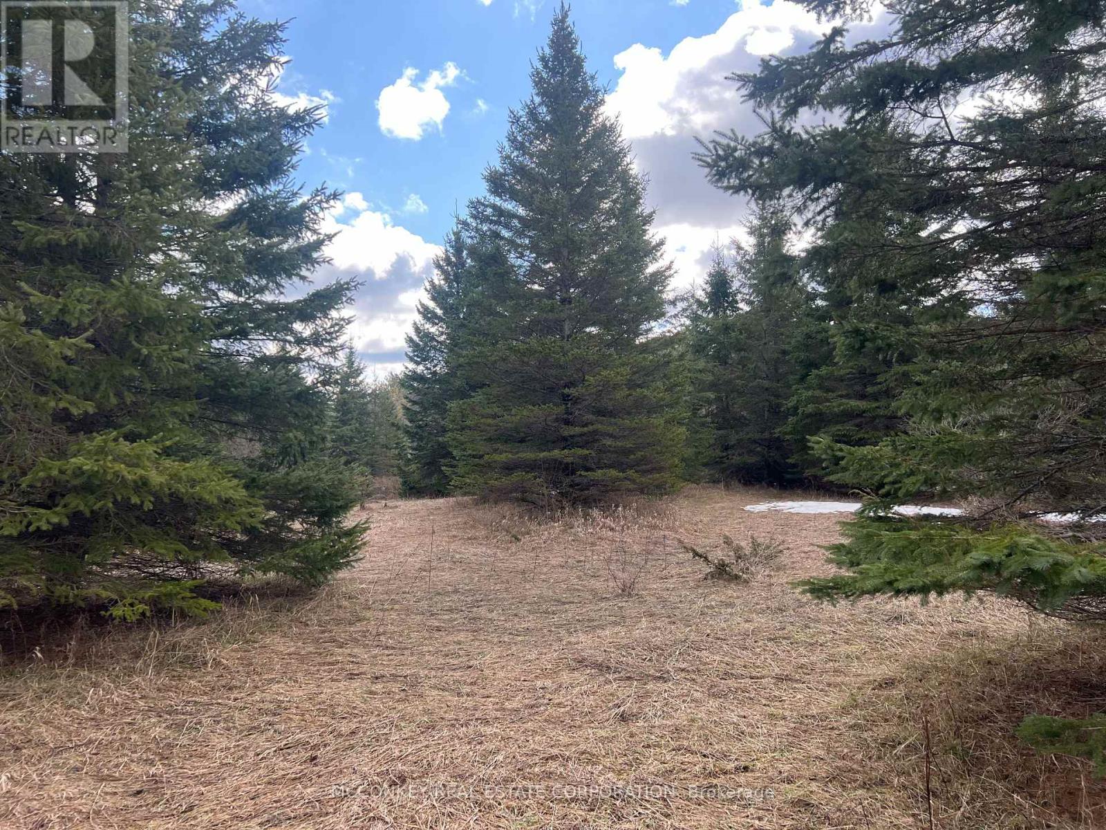 00 Centre Dummer Road, Douro-Dummer, Ontario  K0L 2H0 - Photo 9 - X12976854