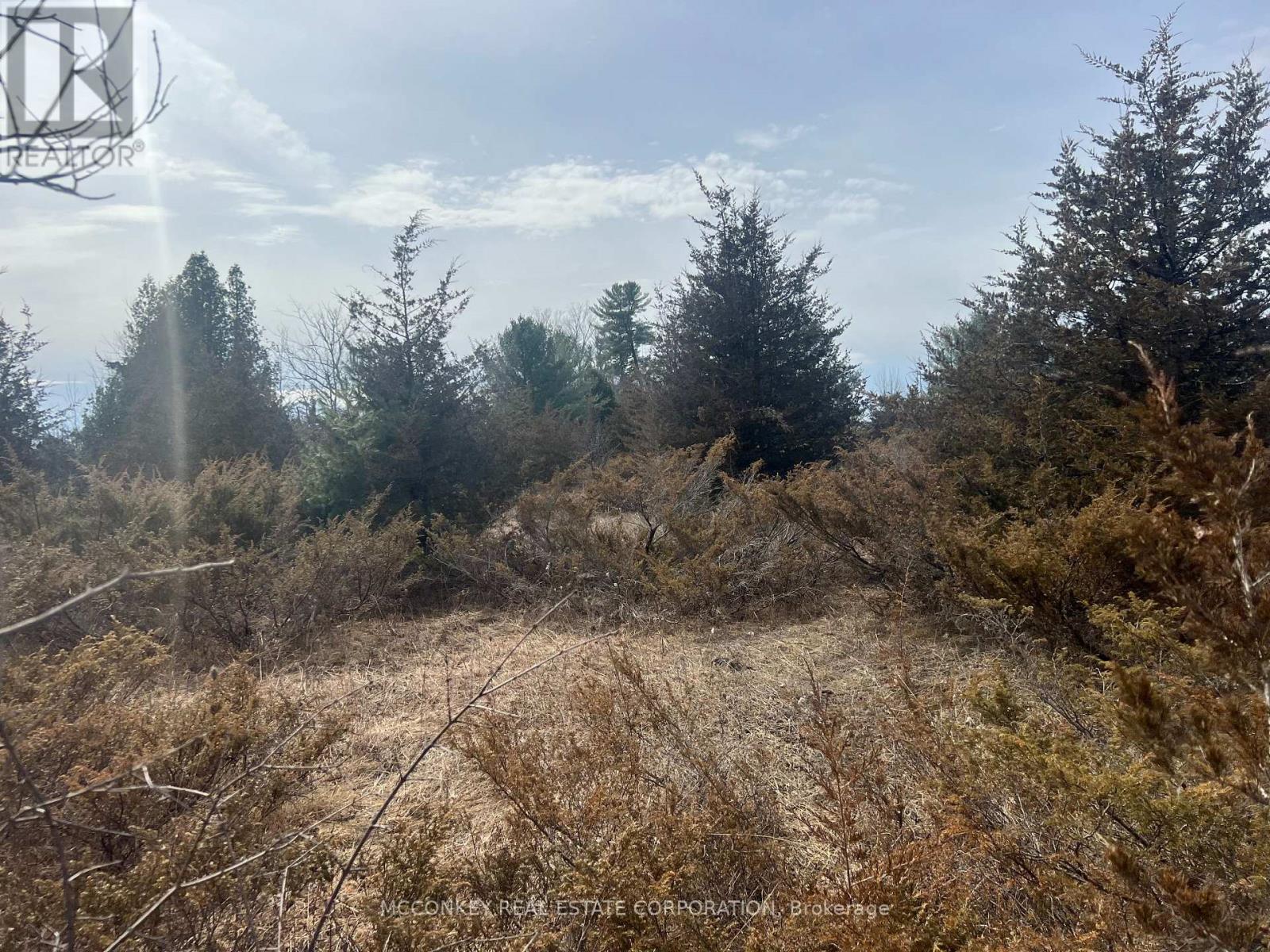 00 N. Dummer 7th Line Road, Douro-Dummer, Ontario  K0L 2H0 - Photo 10 - X12976864