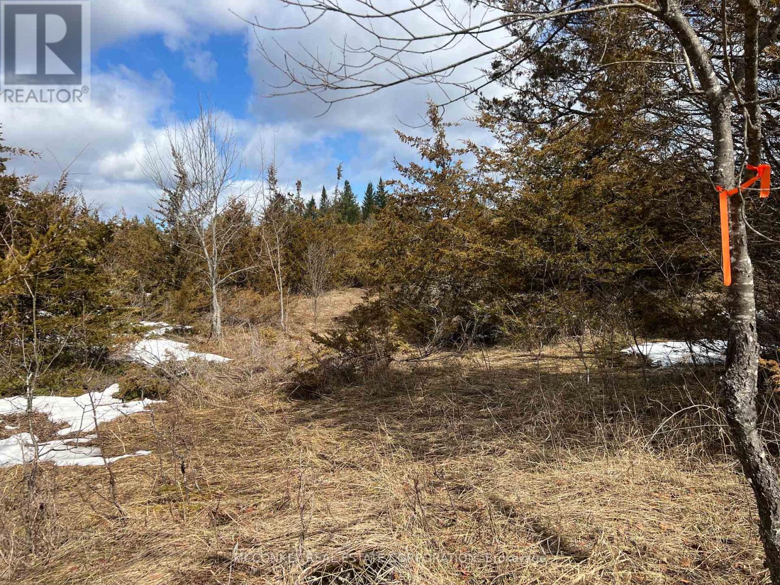 00 N. Dummer 7th Line Road, Douro-Dummer, Ontario  K0L 2H0 - Photo 11 - X12976864