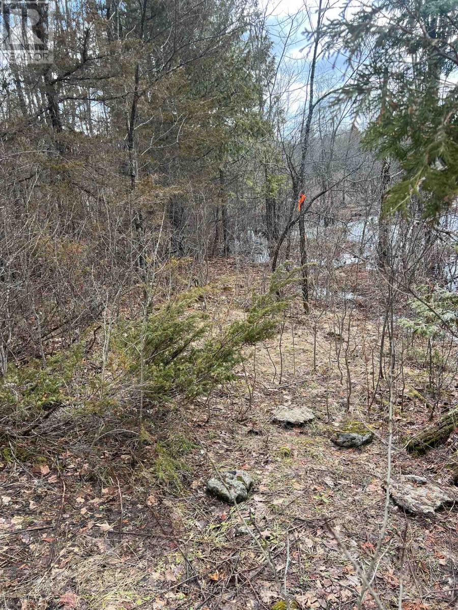 00 N. Dummer 7th Line Road, Douro-Dummer, Ontario  K0L 2H0 - Photo 13 - X12976864