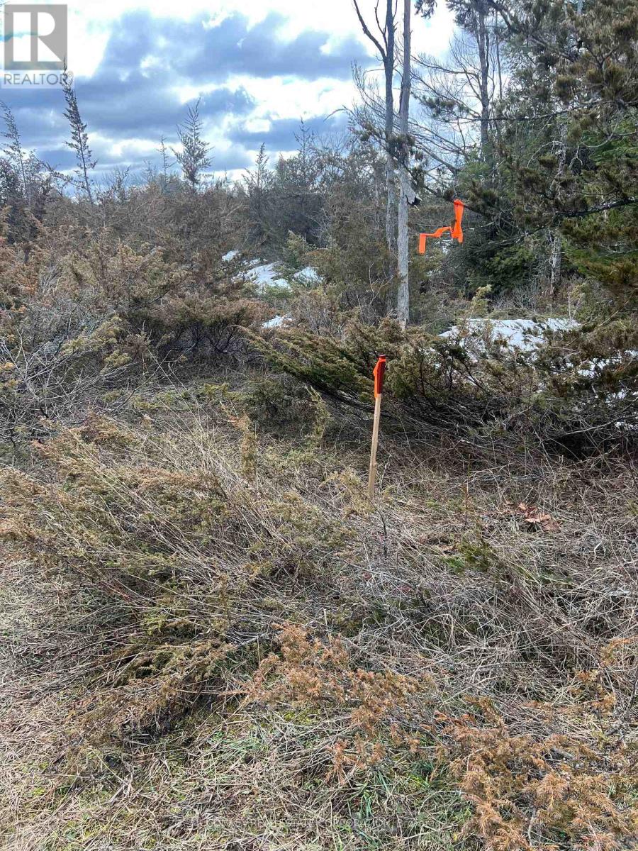 00 N. Dummer 7th Line Road, Douro-Dummer, Ontario  K0L 2H0 - Photo 15 - X12976864