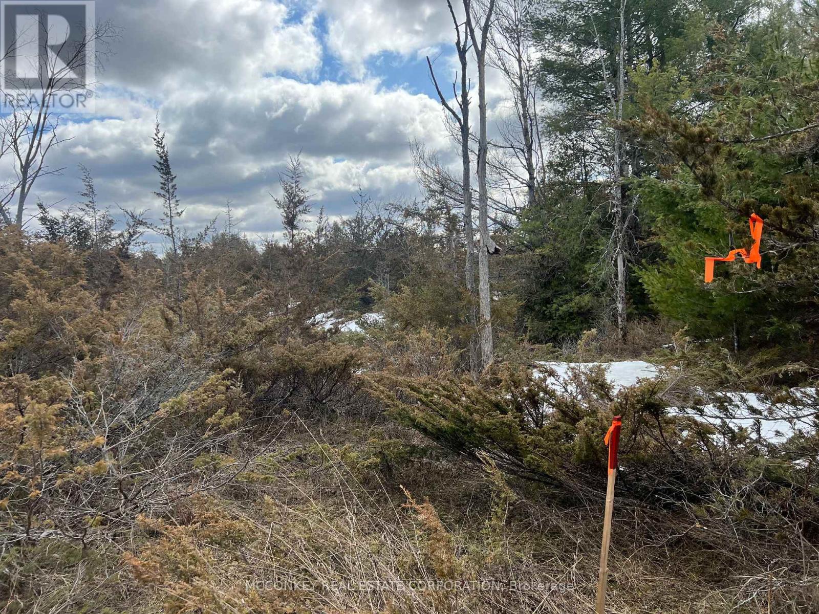 00 N. Dummer 7th Line Road, Douro-Dummer, Ontario  K0L 2H0 - Photo 16 - X12976864