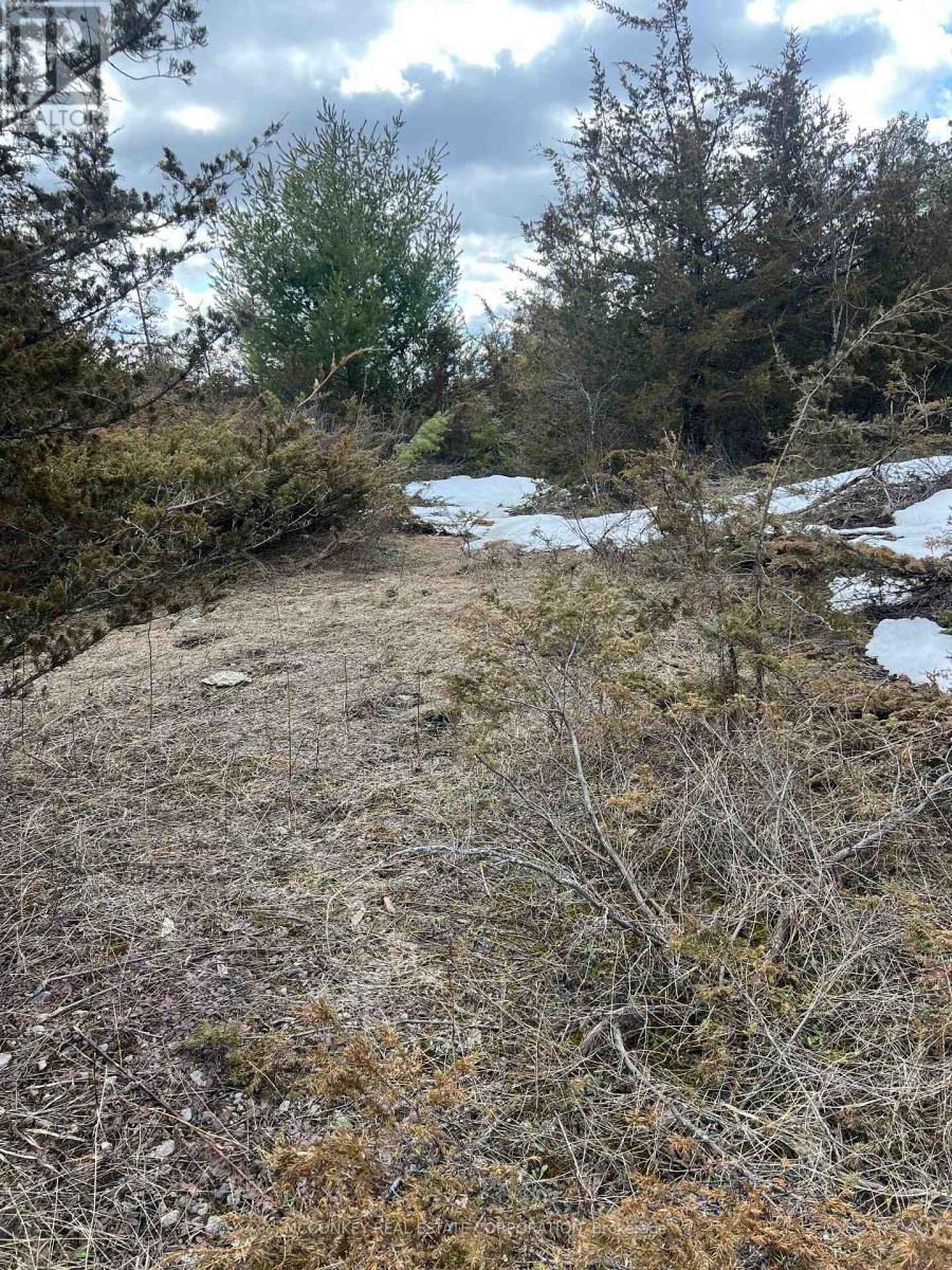 00 N. Dummer 7th Line Road, Douro-Dummer, Ontario  K0L 2H0 - Photo 17 - X12976864