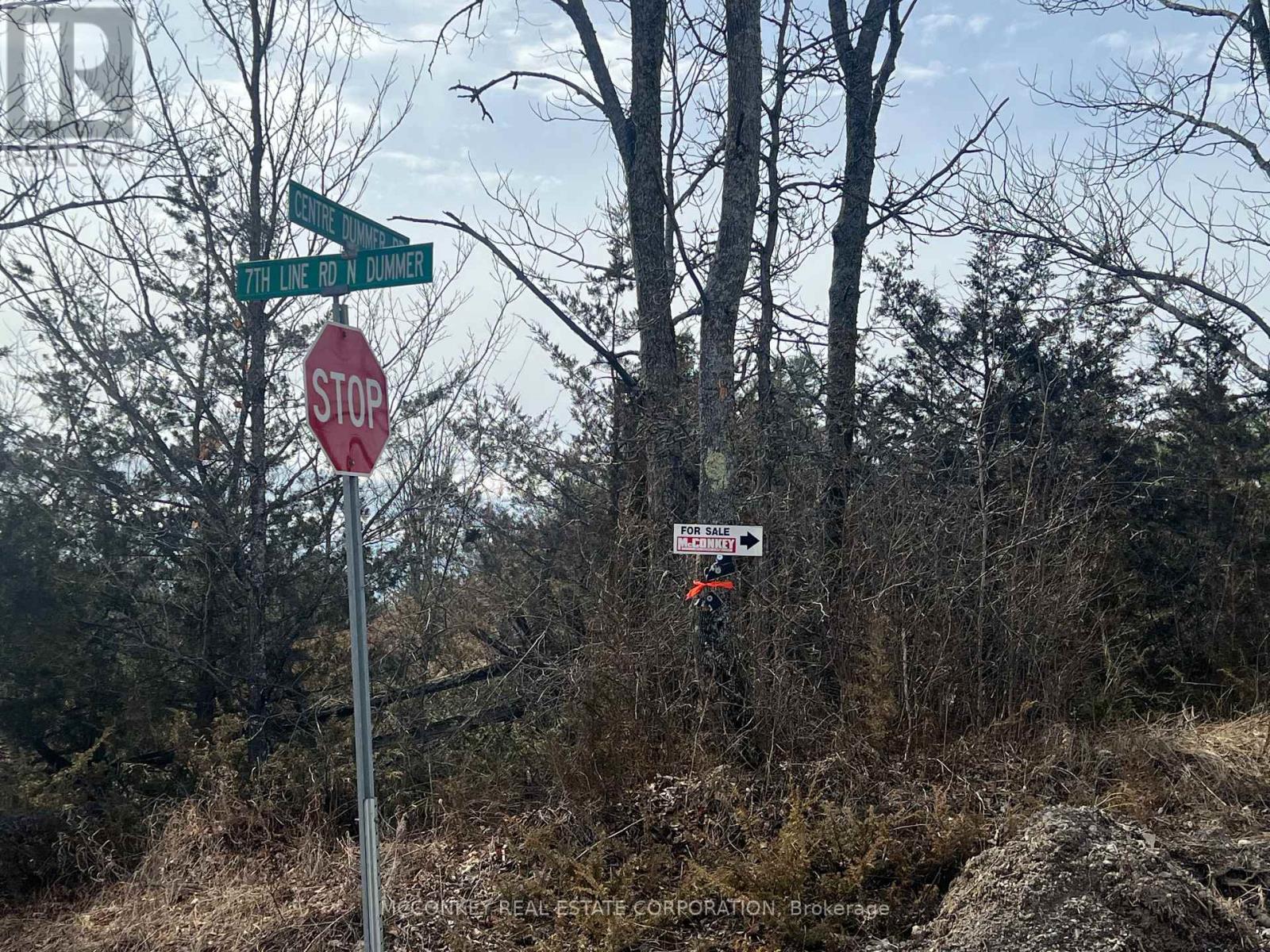 00 N. Dummer 7th Line Road, Douro-Dummer, Ontario  K0L 2H0 - Photo 6 - X12976864