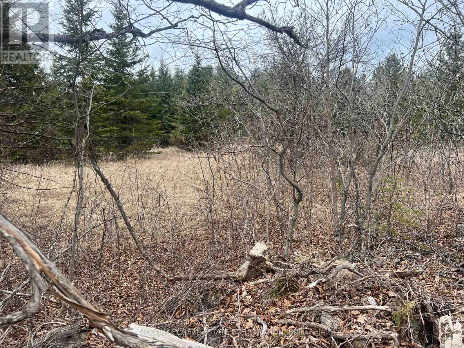 00 N. Dummer 7th Line Road, Douro-Dummer, Ontario  K0L 2H0 - Photo 8 - X12976864