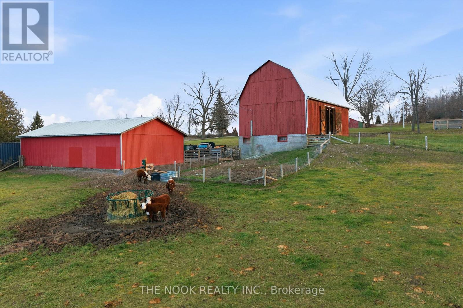 2132 County 10 Road, Cavan Monaghan (Cavan Twp), Ontario  L0A 1C0 - Photo 8 - X12976900