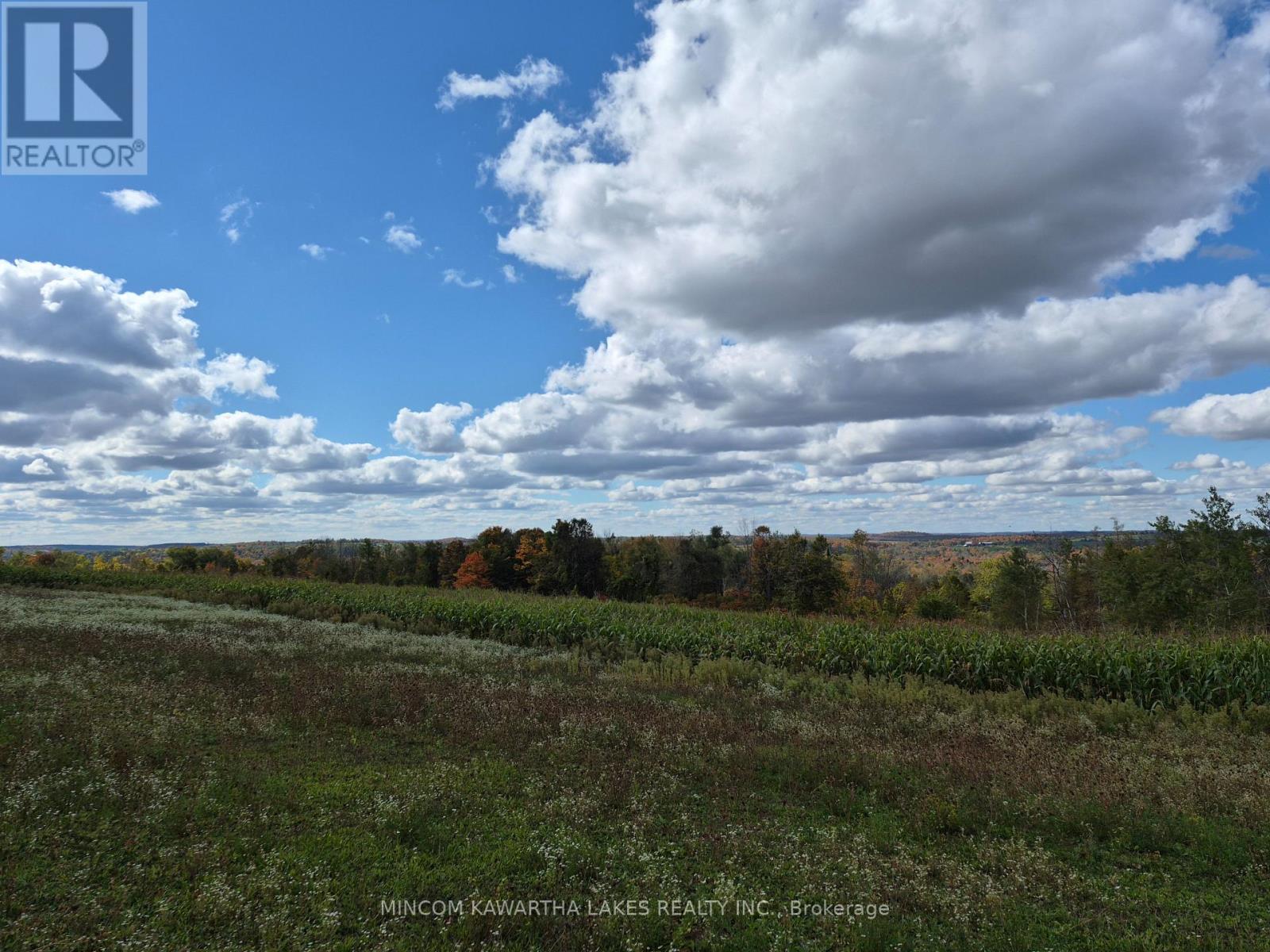 Pl 15 Base Line, Otonabee-South Monaghan, Ontario  K0L 2G0 - Photo 2 - X12978564