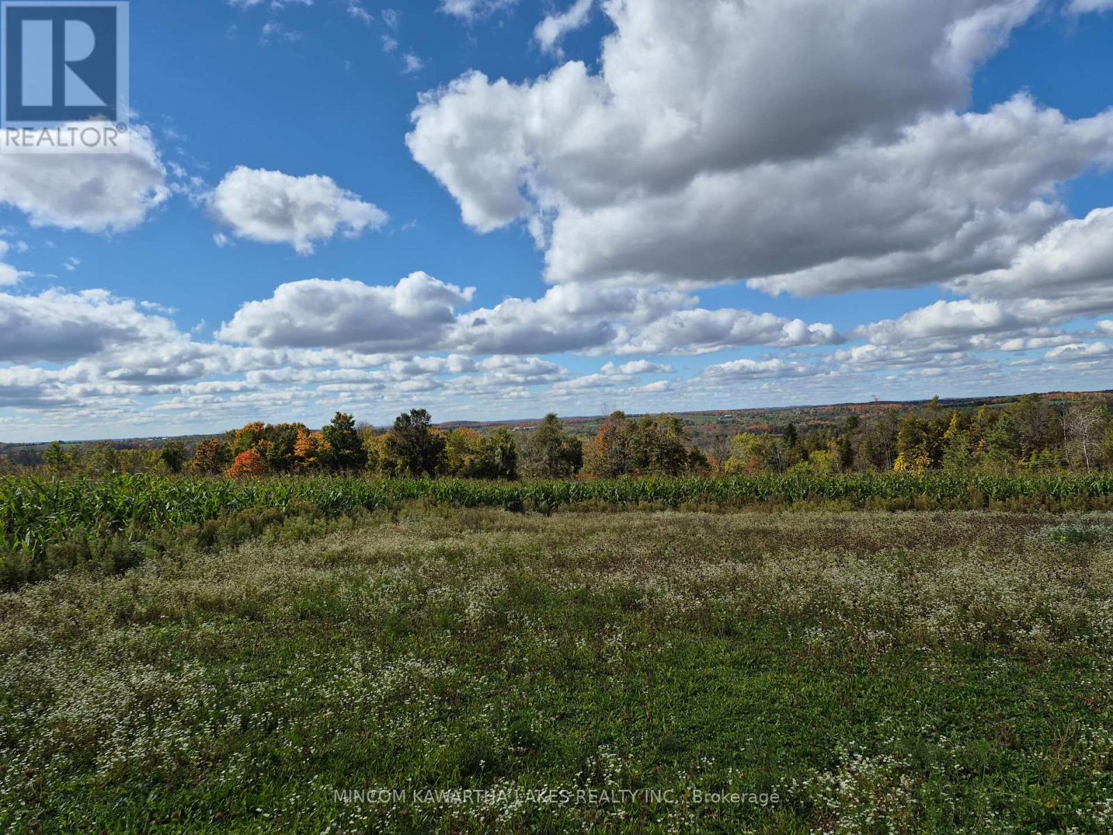 Pl 15 Base Line, Otonabee-South Monaghan, Ontario  K0L 2G0 - Photo 5 - X12978564