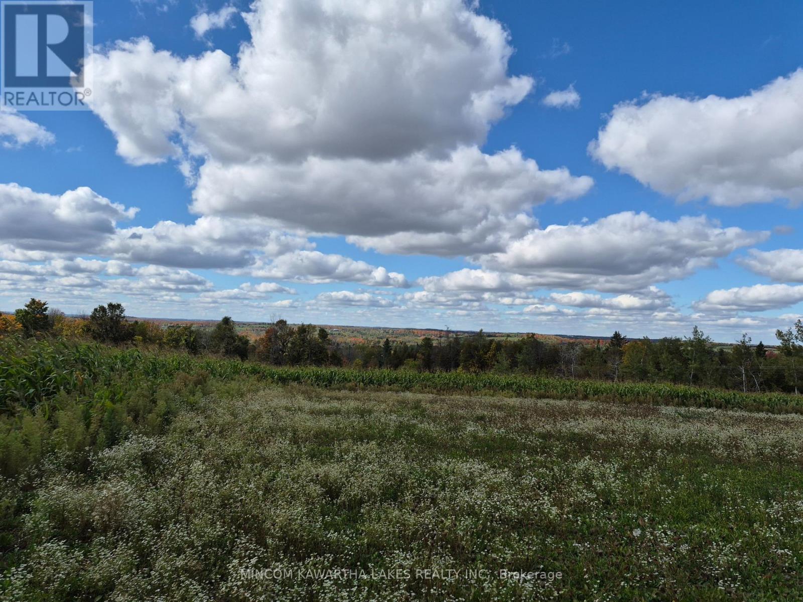 Pl 15 Base Line, Otonabee-South Monaghan, Ontario  K0L 2G0 - Photo 6 - X12978564