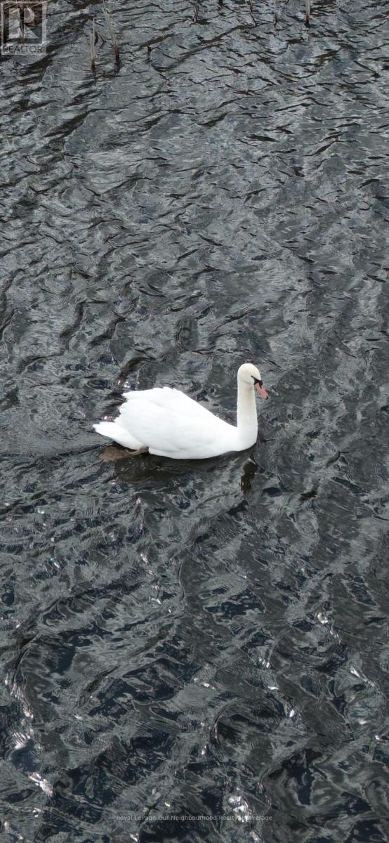 25 River Road W, Trent Hills, Ontario  K0L 1L0 - Photo 22 - X12980936