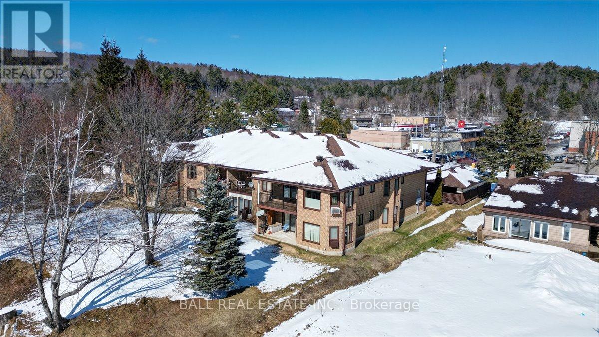 203 - 16 Alice Street, Bancroft (Bancroft Ward), Ontario  K0L 1C0 - Photo 3 - X12981856