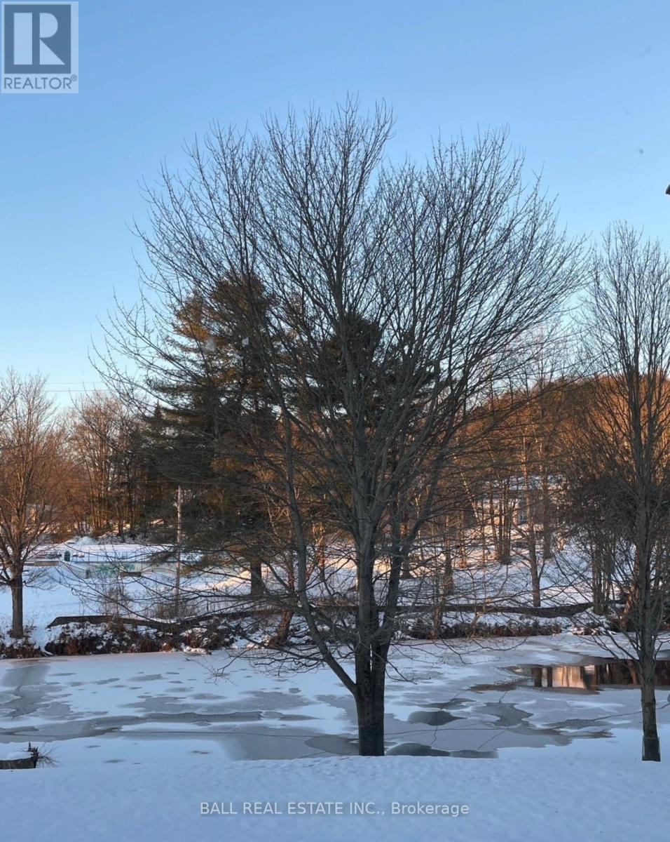 203 - 16 Alice Street, Bancroft (Bancroft Ward), Ontario  K0L 1C0 - Photo 42 - X12981856