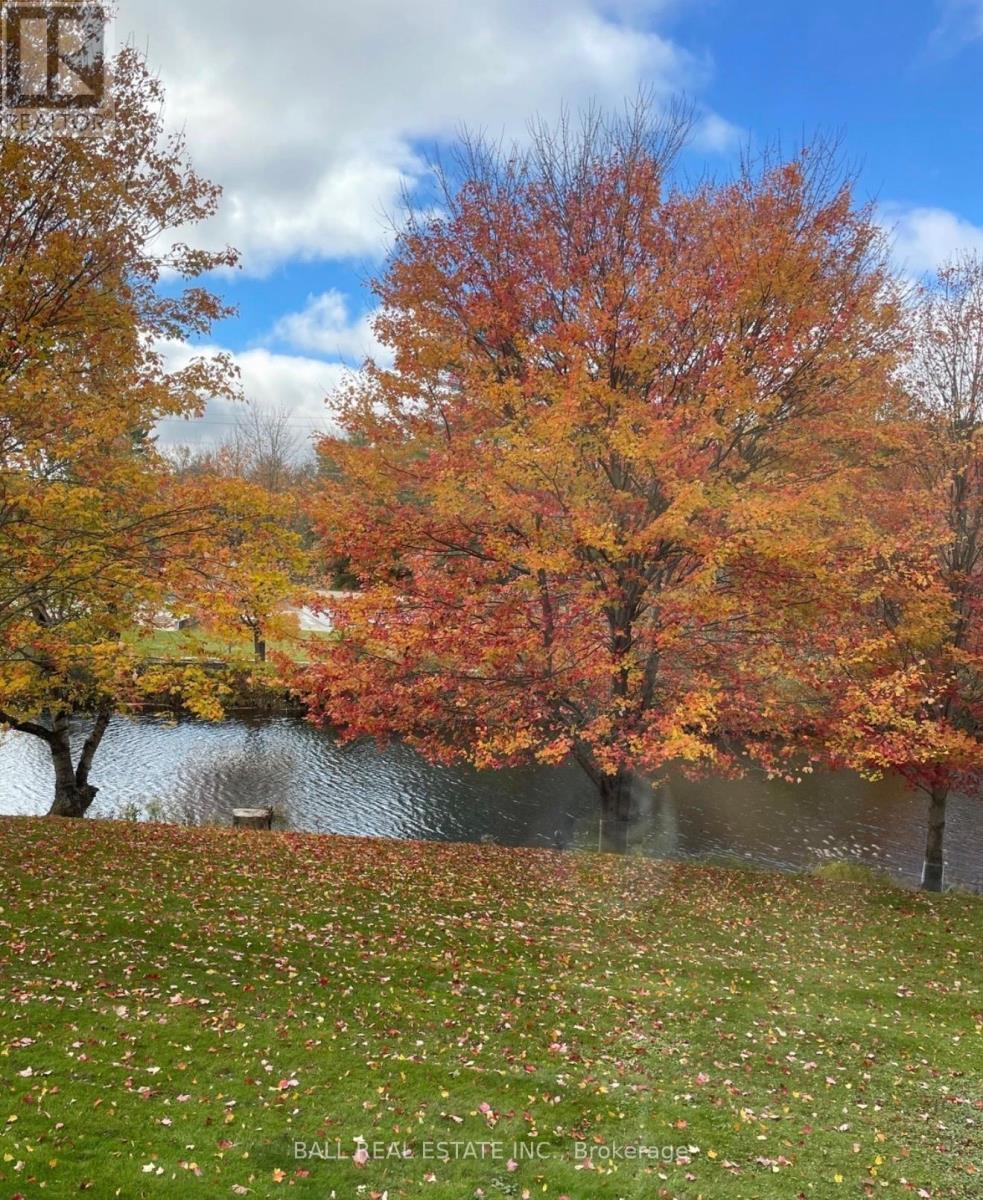 203 - 16 Alice Street, Bancroft (Bancroft Ward), Ontario  K0L 1C0 - Photo 44 - X12981856