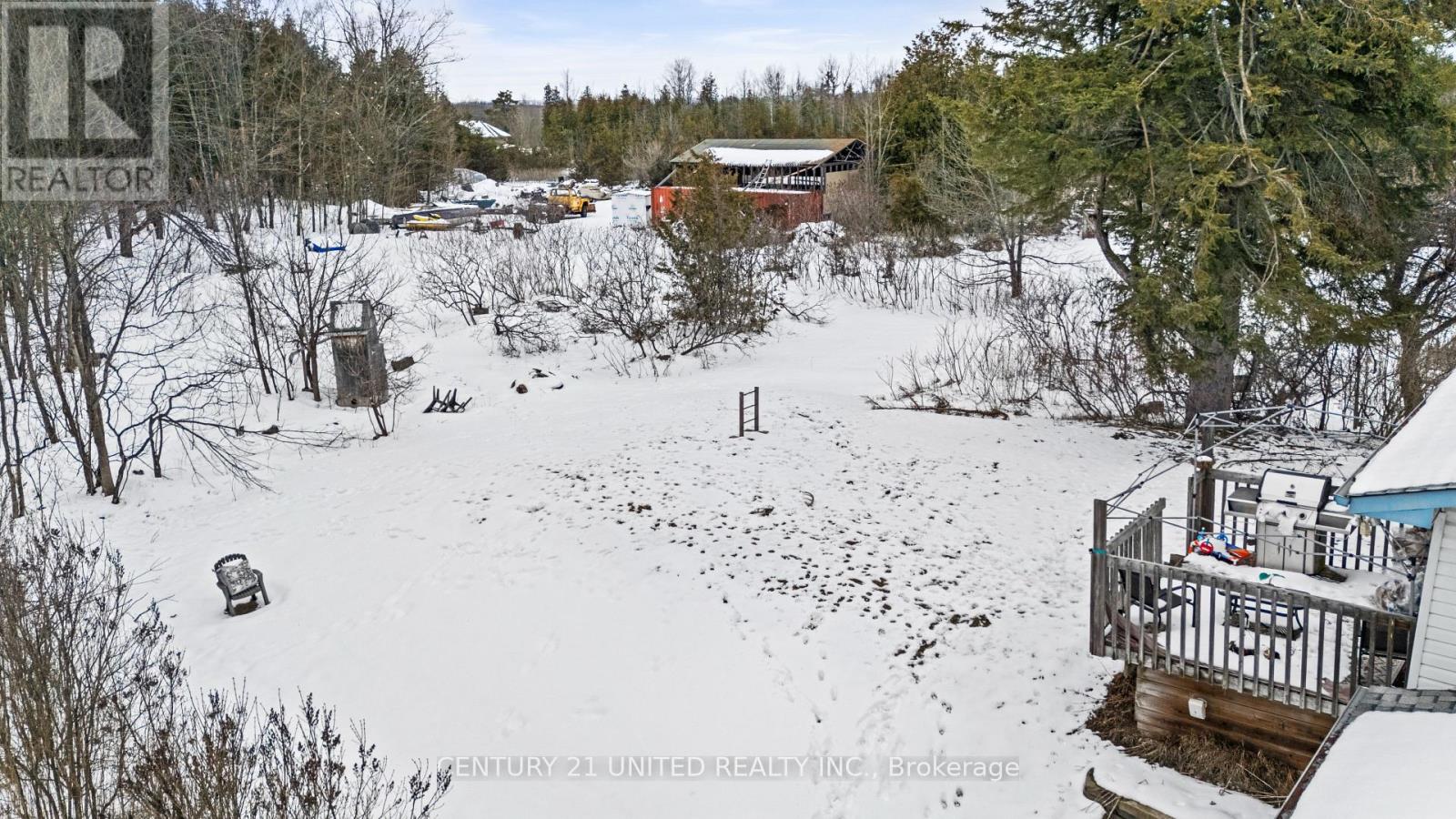 2234 Mccrackens Landing Road, Douro-Dummer, Ontario  K0L 2H0 - Photo 33 - X12982014