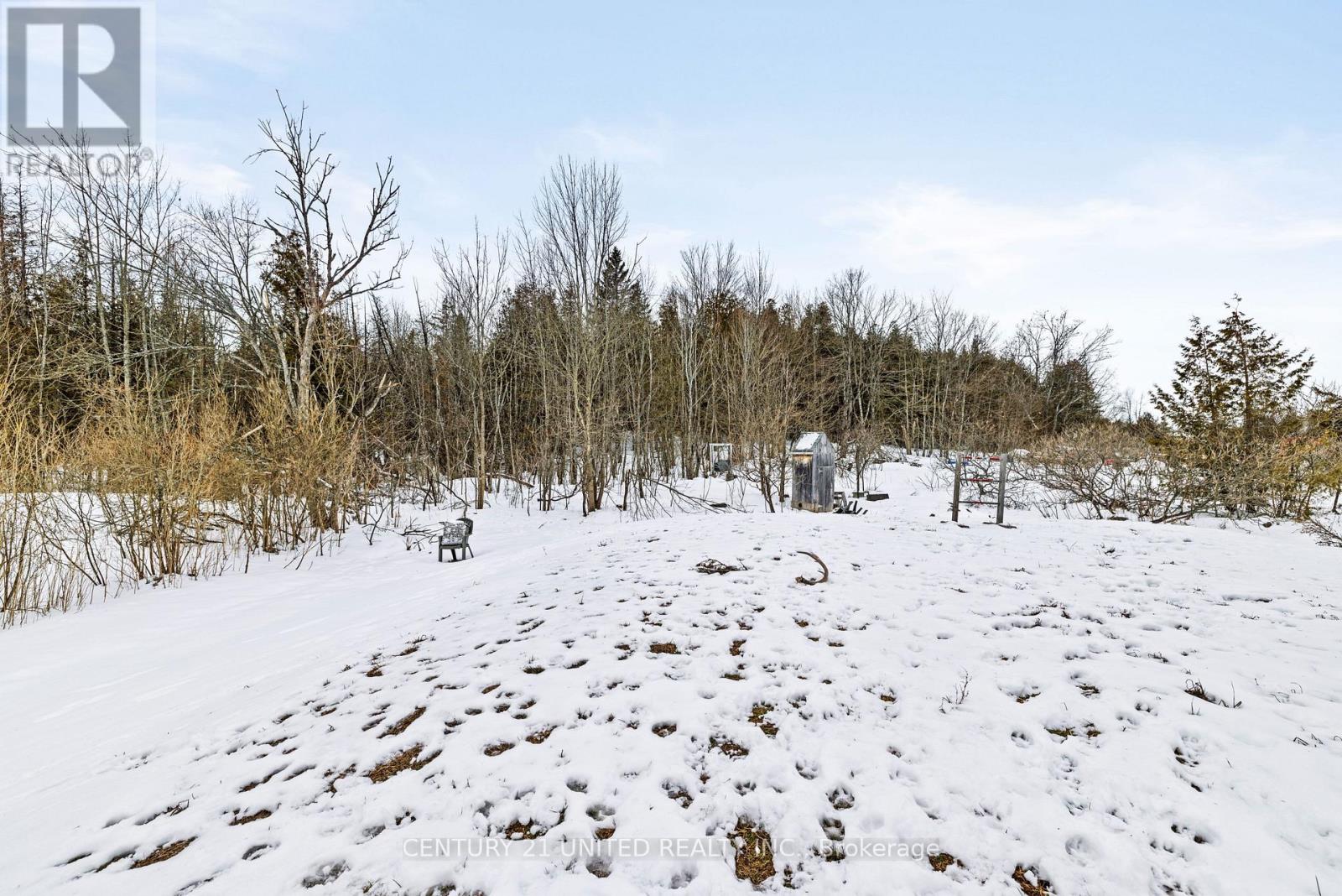 2234 Mccrackens Landing Road, Douro-Dummer, Ontario  K0L 2H0 - Photo 5 - X12982014