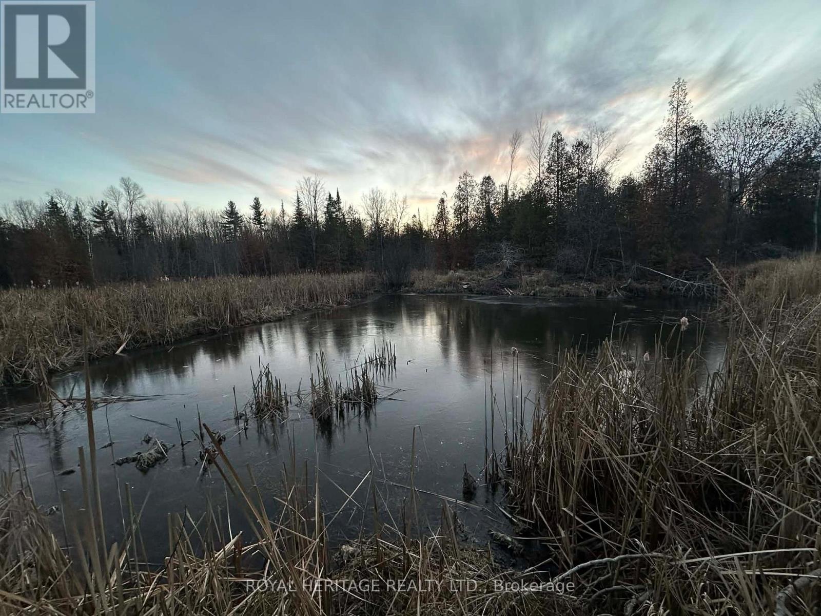 1702 County Rd 40, Douro-Dummer, Ontario  K0L 2V0 - Photo 37 - X12983320
